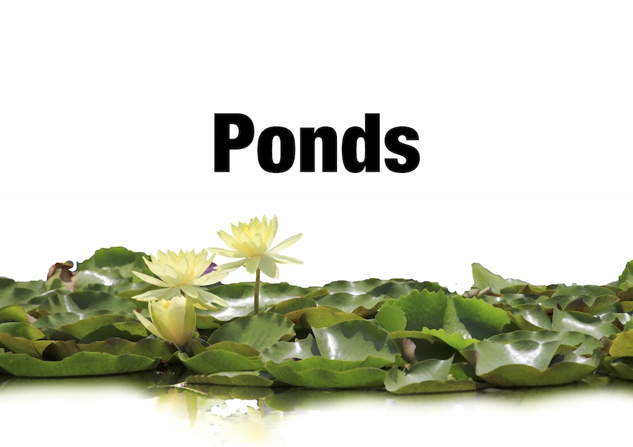 ponds_gf