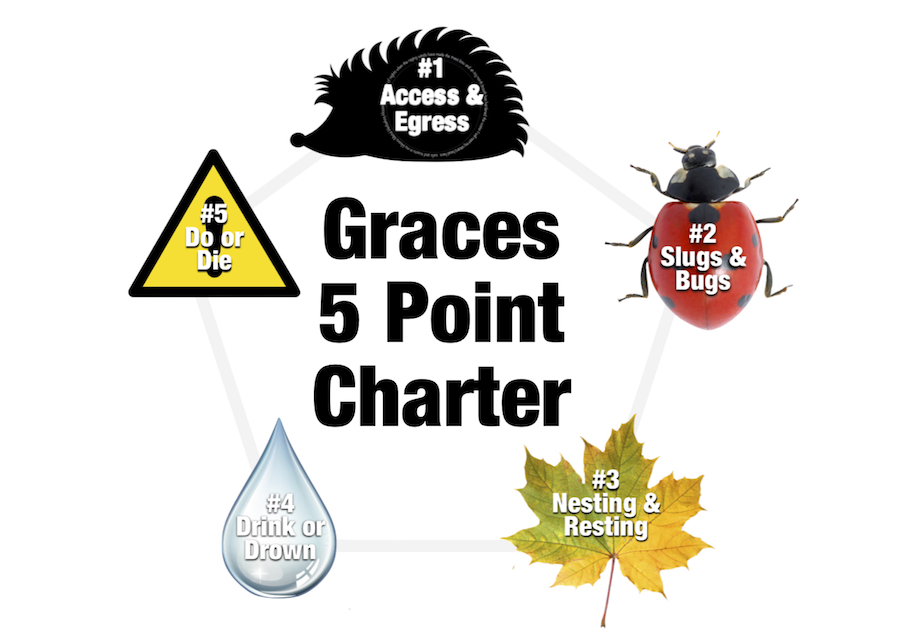 5-poiin-charter--small