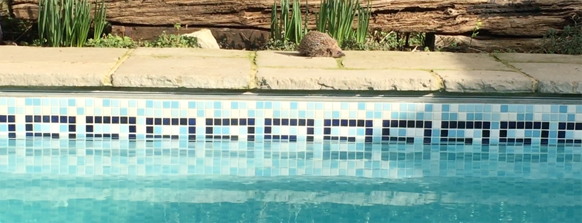 swimming-pool copy