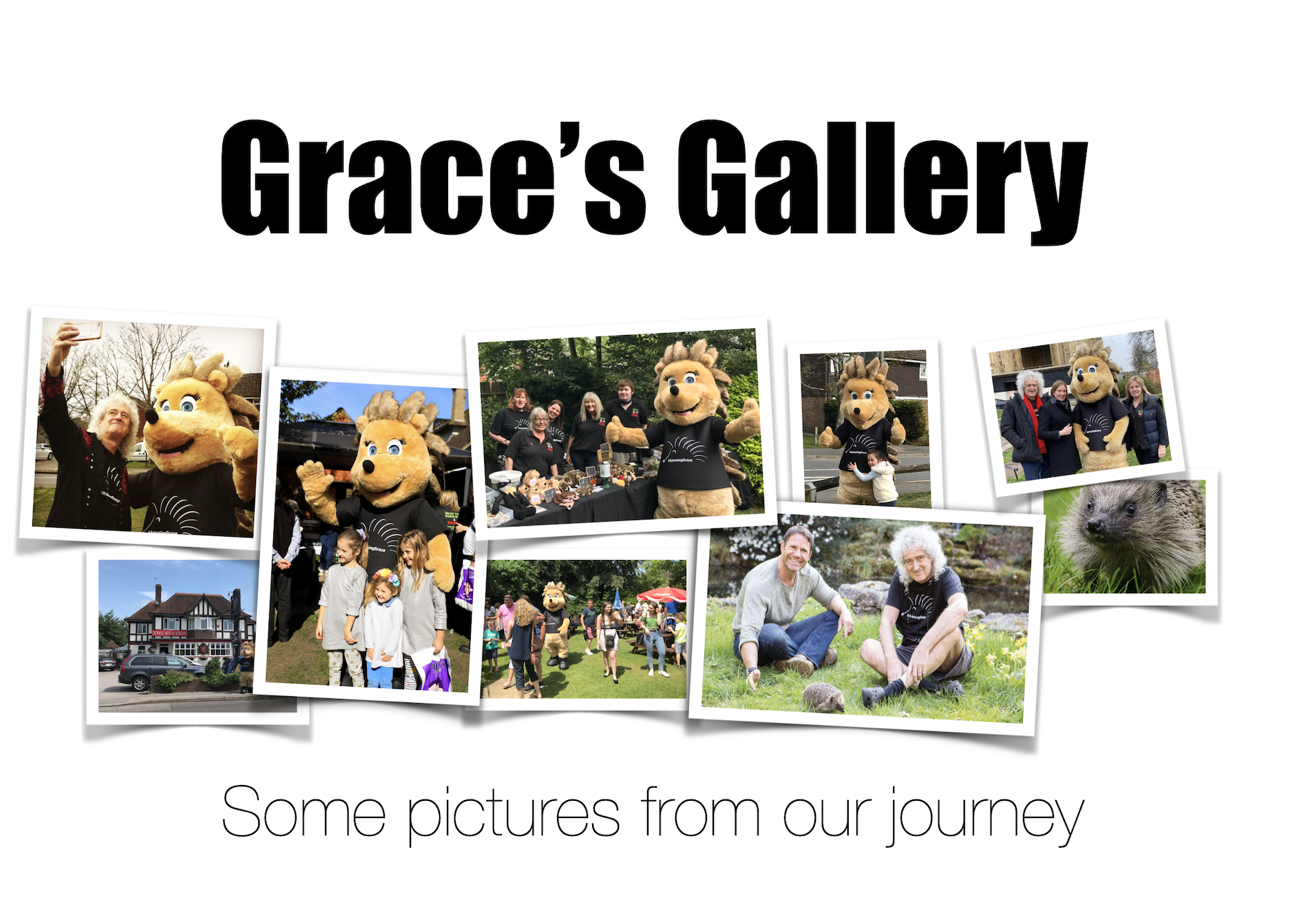 gallery puics