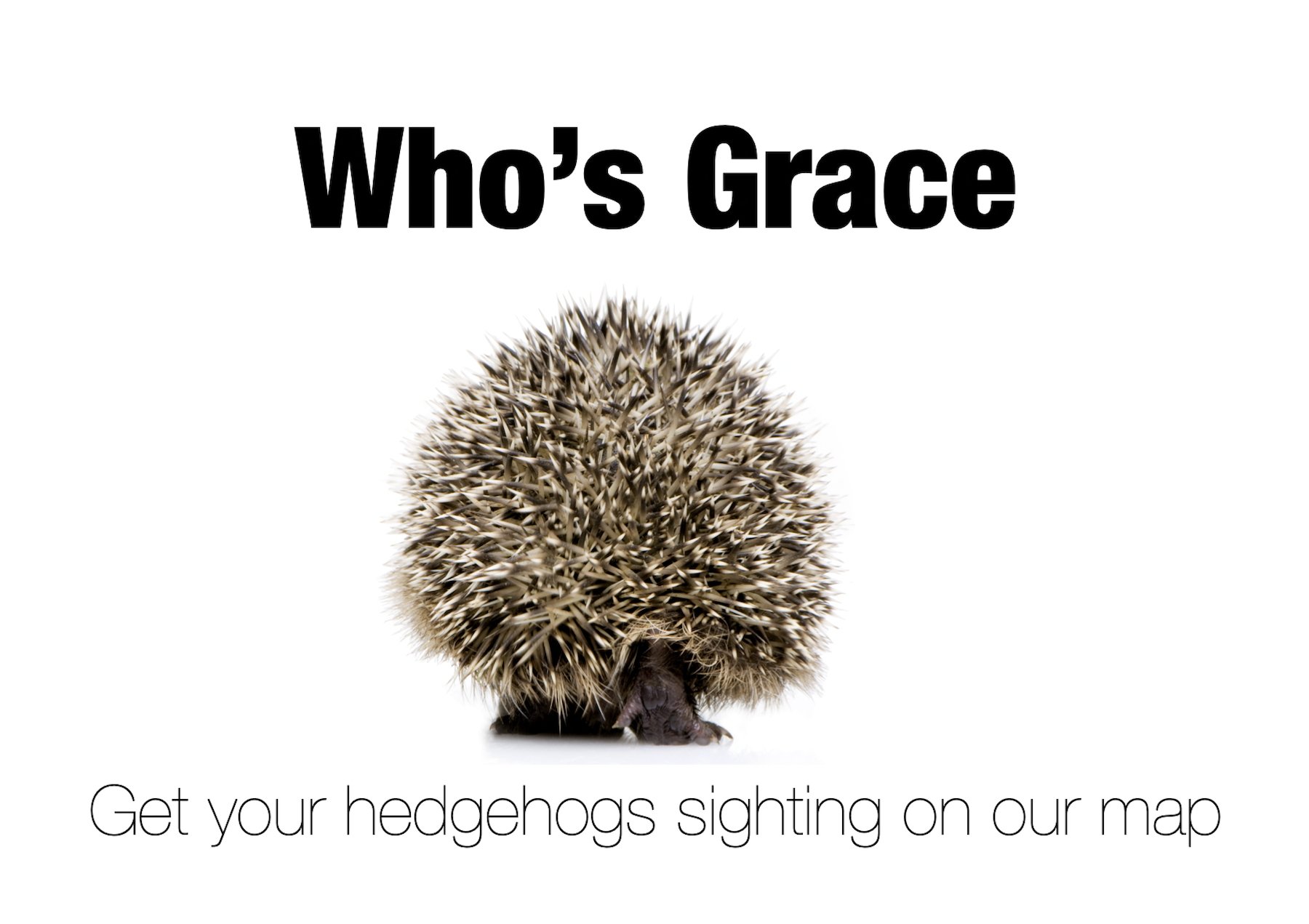 Grace