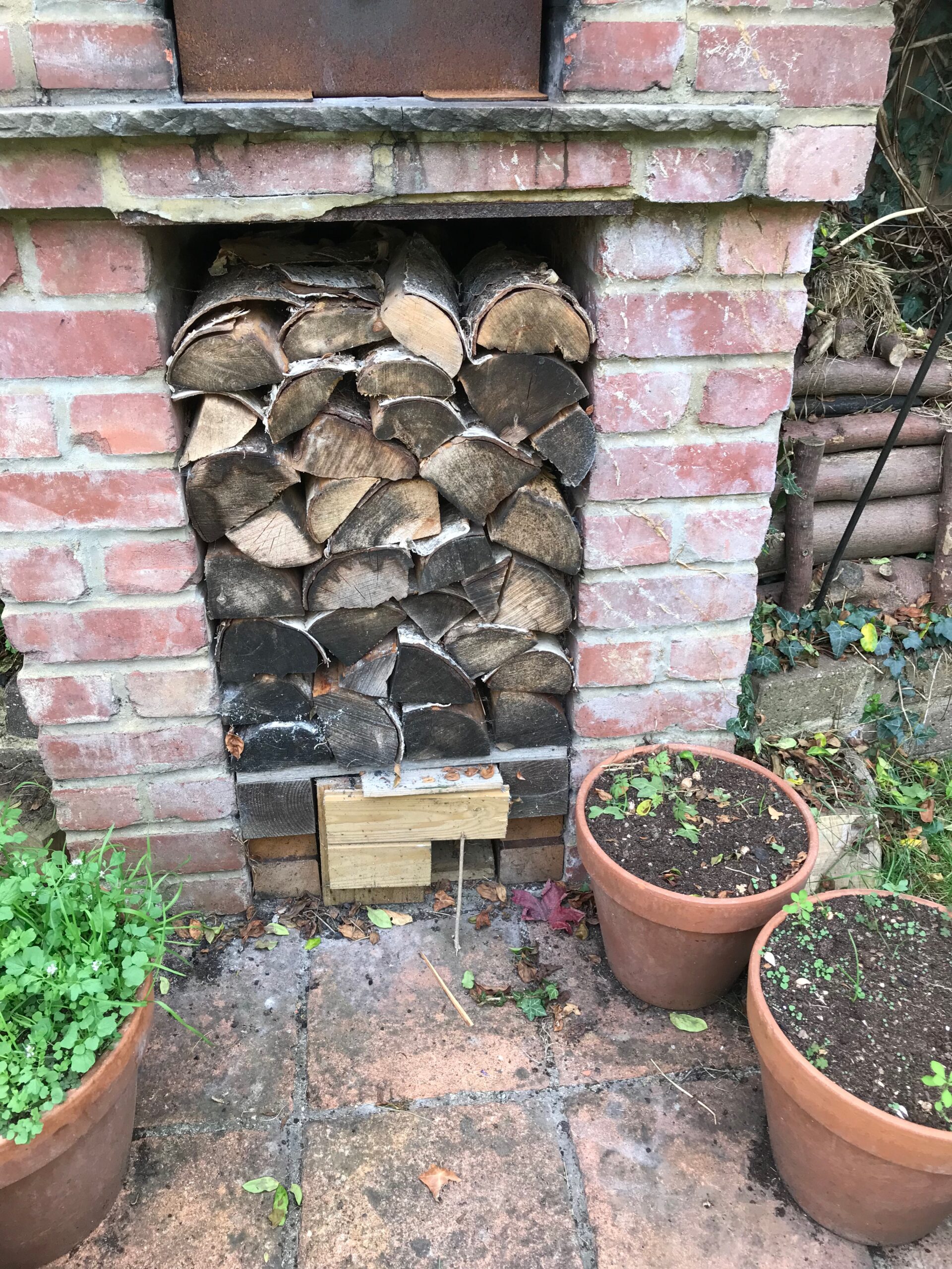 HAimage Hedgehog House soft release Alex Brook 1 3:10:18 copy