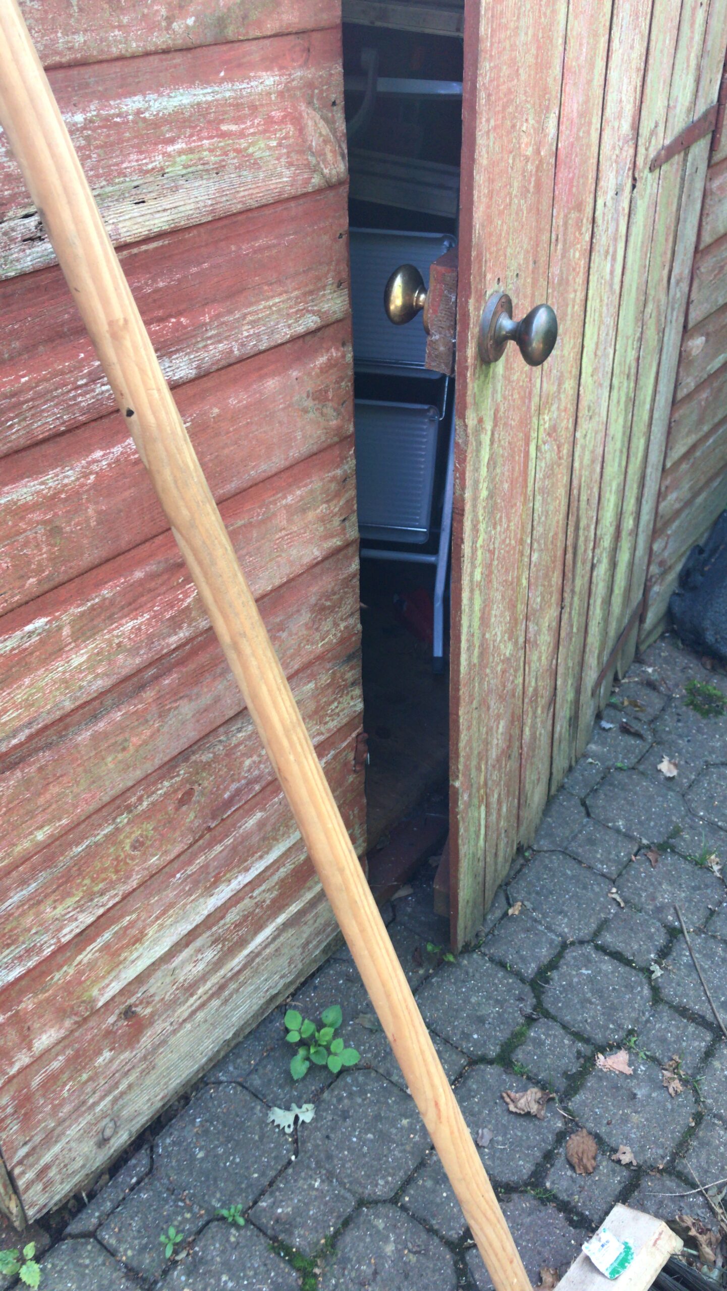 HAimage shed door left open hazard Alison Gray Gracelands 20:8:19