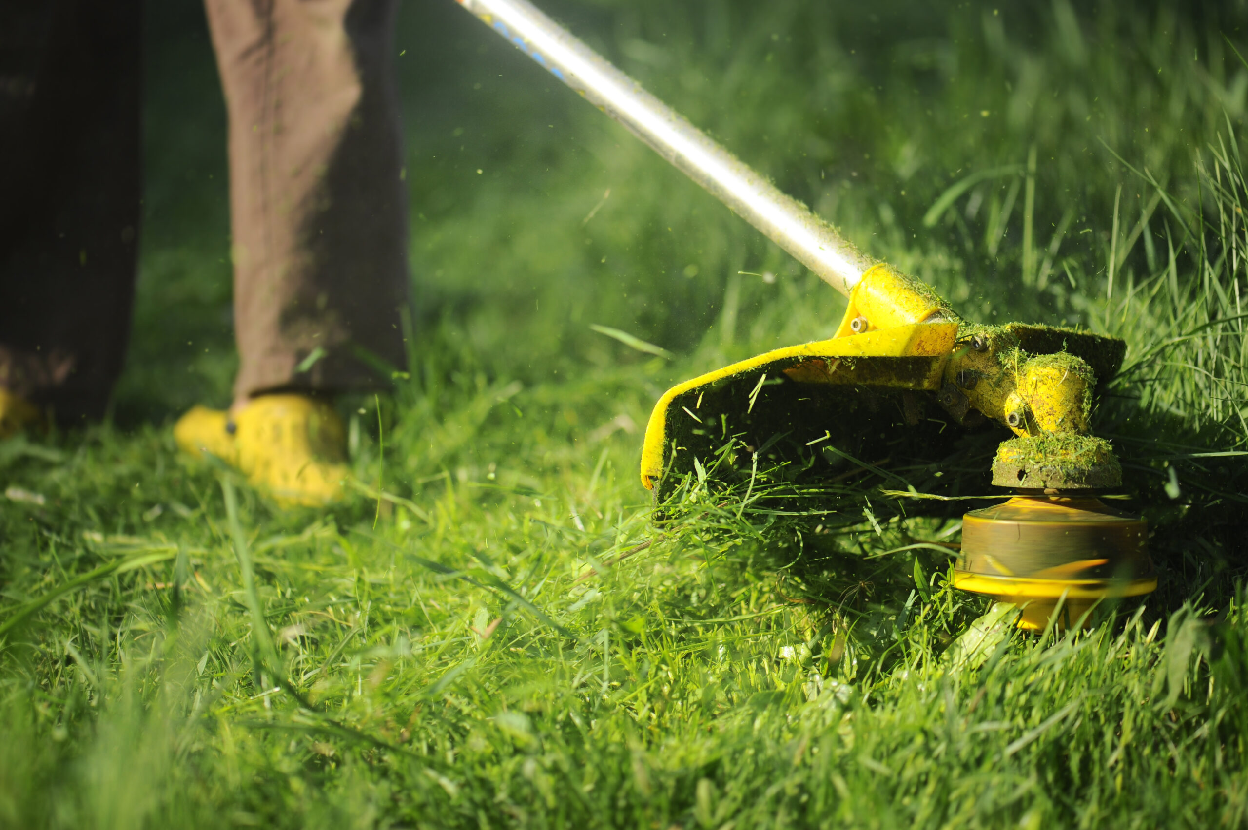 Man,Mowing,The,Grass,,The,Mower,Close,Up